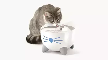 Fontanna sterowana za pomocą smartfona, z filtrem i miską ze stali nierdzewnej dla kota Pixi Smart Fountain biała 2,5l