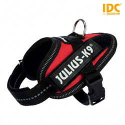 Szelki Julius-K9 IDC® dla psa czerwone