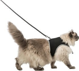 Miękkie szelki dla dużych kotów XXL z elastyczną smyczą