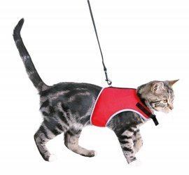 Szelki dla kota bezuciskowe z elastyczną smyczą różne kolory